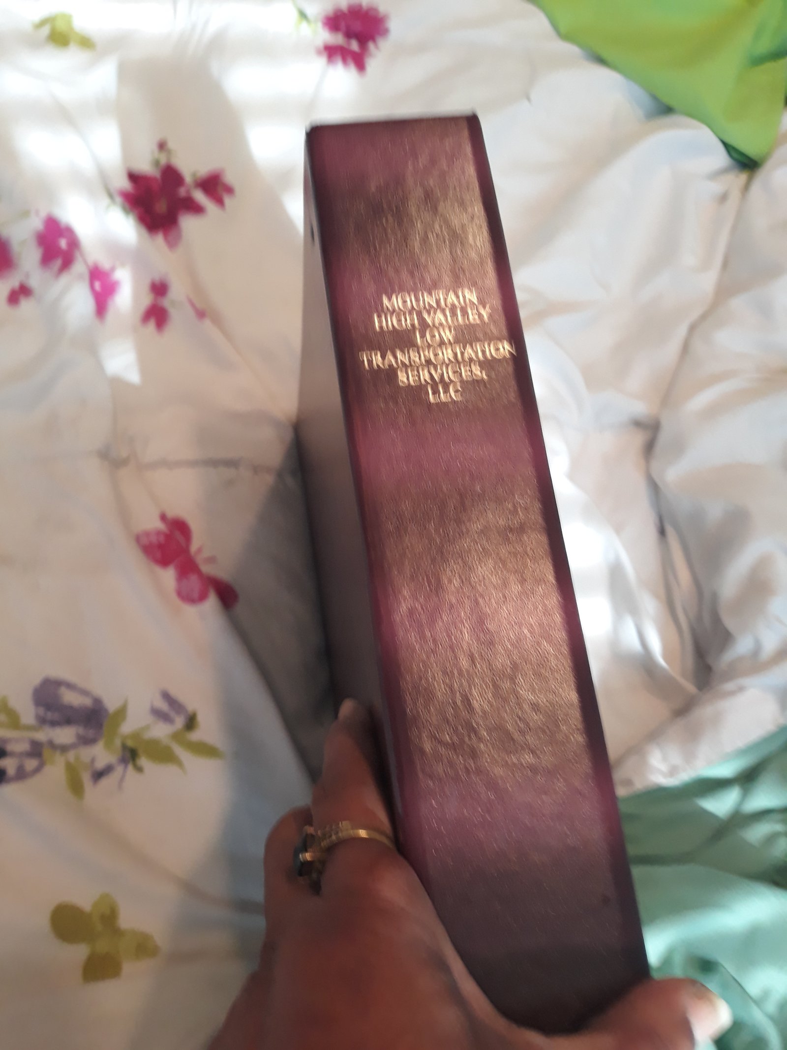 Mountain High Valley Low Transportation Services LLC