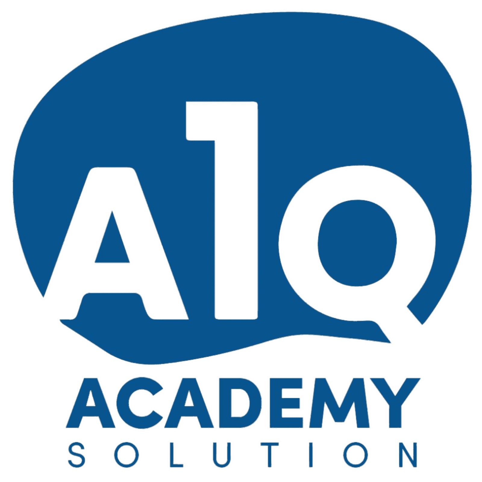 A1Q SOLUTIONS LLC